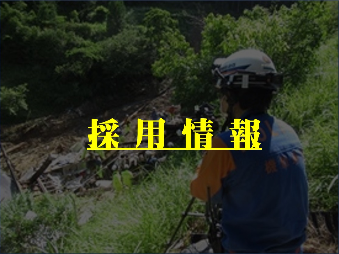 採用情報